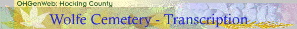 Wolfe Transcription